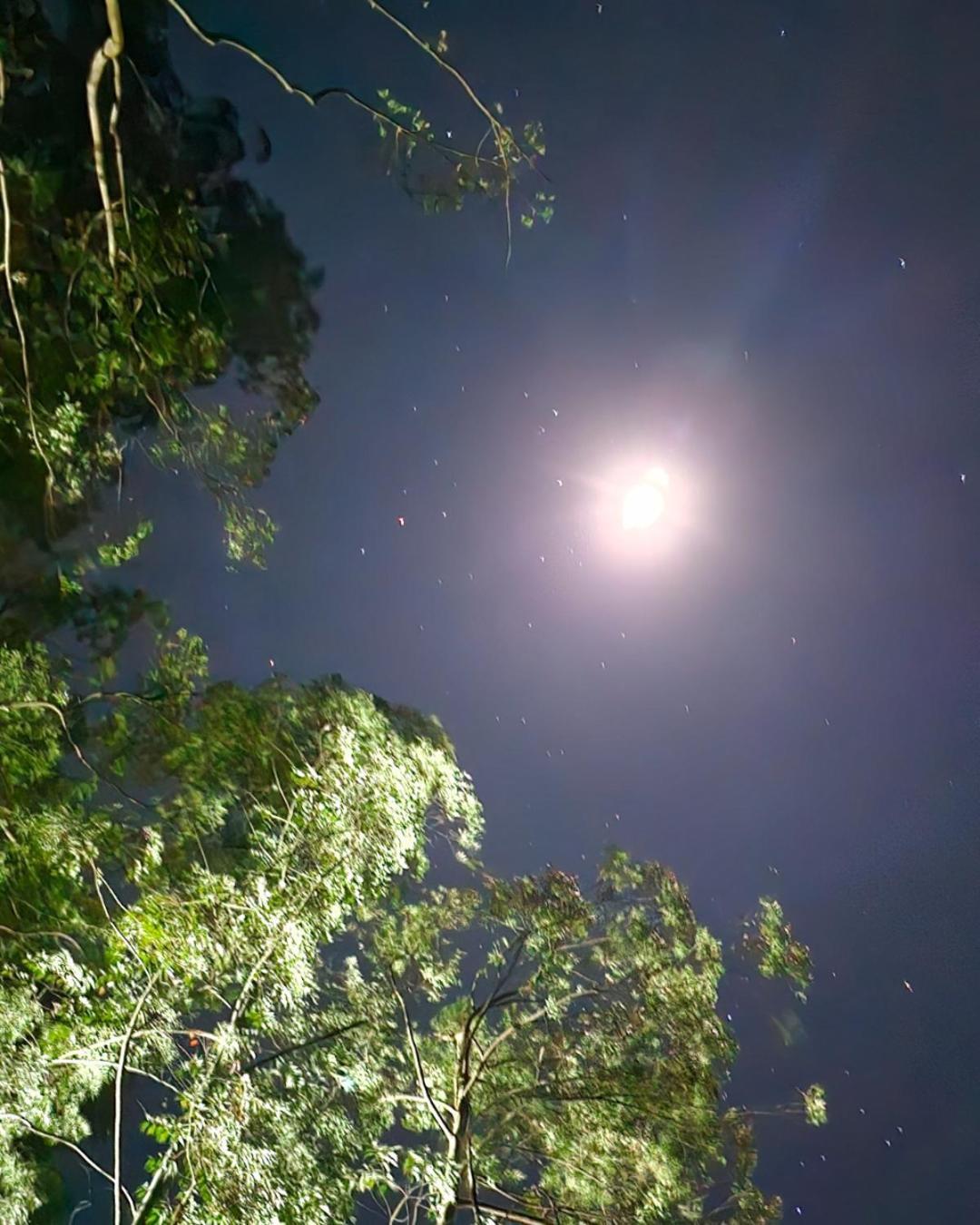 Hotel Fazenda Boa Esperanca デウフィン・モレイラ エクステリア 写真